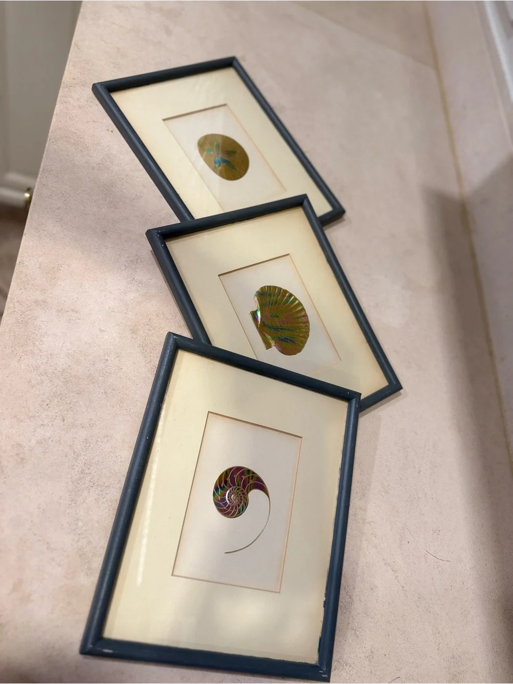 coastal, Palm Beach, Hollywood Regency / vintage seashell art work- set of three